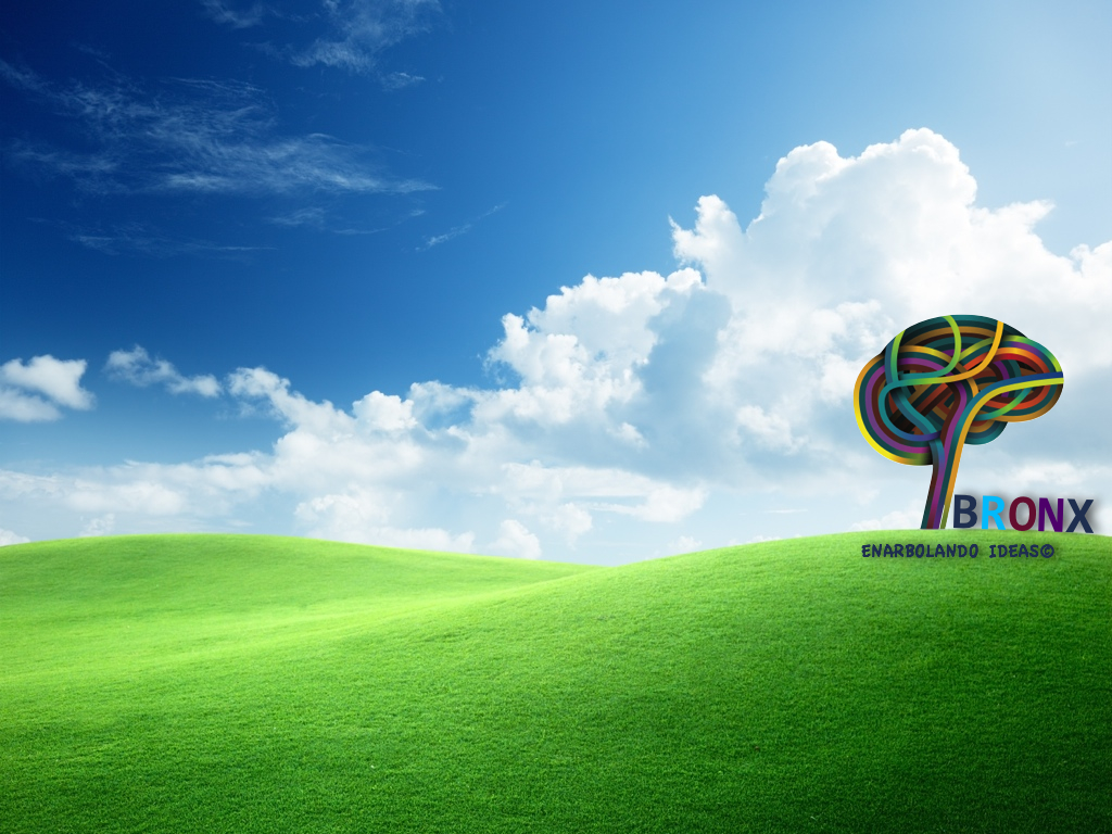 BRONX Enarbolando Ideas©